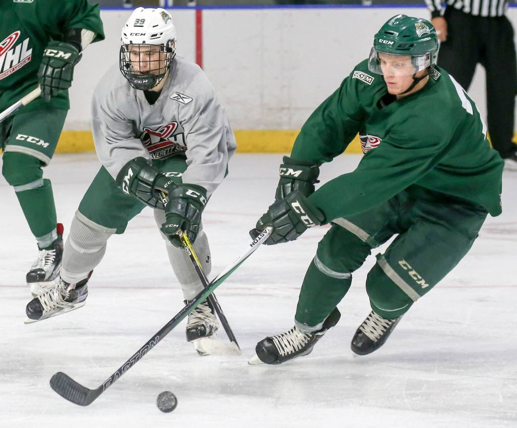 Kevin Clark / The Herald                                Sean Richards of Team Grey and Brandon Ralph vie for control of the puck during the Silvertips&rsquo; annual Green vs. Gray intrasquad game Sunday at Xfinity Arena in Everett.