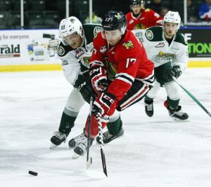 The Silvertips&rsquo; Brian King (left) tries to knock the puck away from Portland&rsquo;s Alex Overhardt (right) during a game Wednesday at Xfinity Arena in Everett.