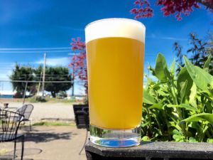 Rollin&rsquo; Down Rodeo Wit a Sasquatch is a collaboration between Skookum Brewery in Arlington and Whitewall Brewing in Marysville.