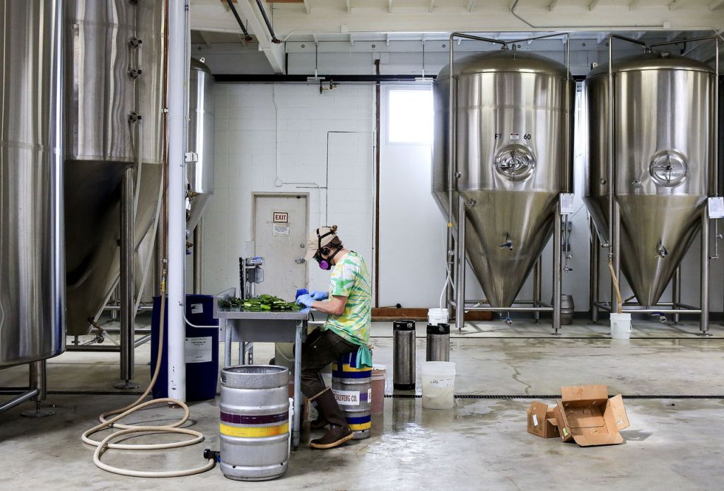 Eric Nord cuts jalapenos for the Jalapeno Triple at Scuttlebutt Brewery.