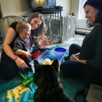 Betty Williams (left) and her 19-month-old son, Kayden, play with a makeshift sandbox, which has cornmeal instead of sand. Parent educator Adrienne Matthias (right), supervisor of ChildStrive&rsquo;s Parents as Teachers program, brought the activity to Williams&rsquo; Everett apartment Wednesday as part of her regular home visit. The family cat, Max, kept his distance.