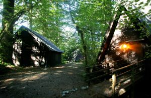 Camp Silverton, a U.S. Forest Service property along the Mountain Loop Highway near Verlot, was used for decades by the Everett School District. The district no longer uses the outdoor camp, which has been closed since 2003.