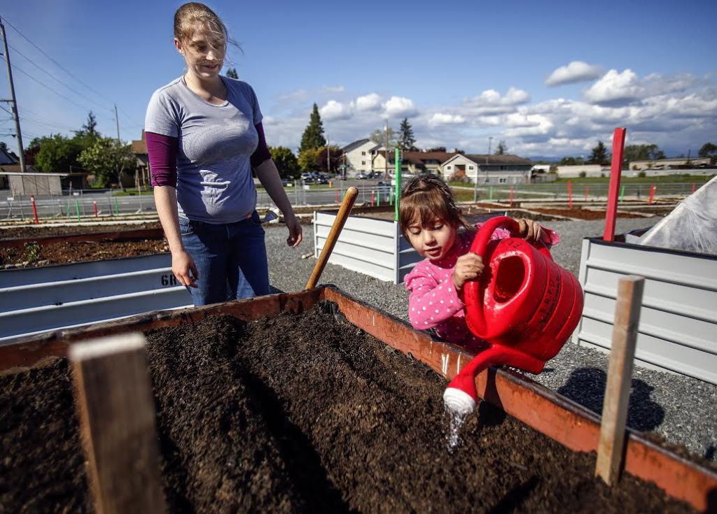 In her rented garden space in the Jackson Community Gardens in Jackson Park, Mariah Redhage watches her daughter, Eliana Lopez, 4, water summer squash seeds Monday that the two had just planted.