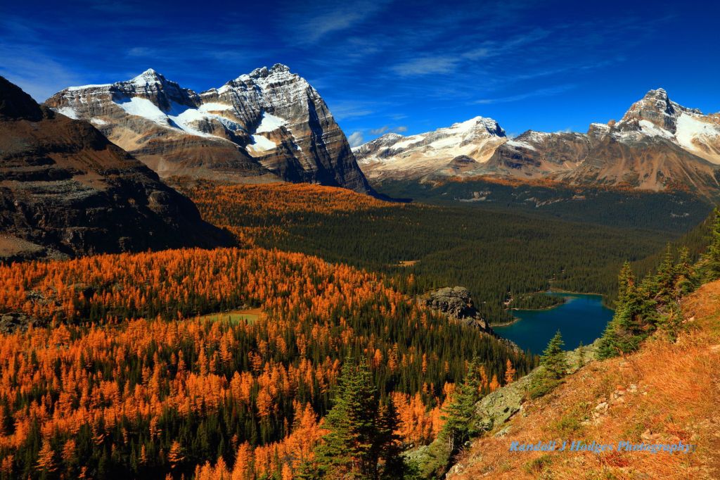 The View from the Shelves on the Alpine High Circuit Route Overlooking Opabin Plateau and Lake O&rsquo;Hara in Yohoo National Park in British Columbia Canada
