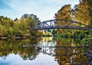 There are miles of hiking and biking trails in Bothell.