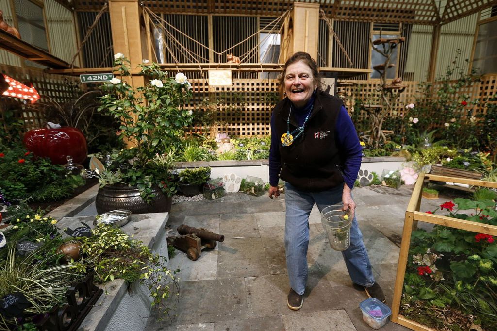 Fancy Fronds Nursery owner Judith Jones laughs after putting on a few final touches to her display at the Northwest Flower and Garden Show. Jones has been participating in the annual show since 1989.