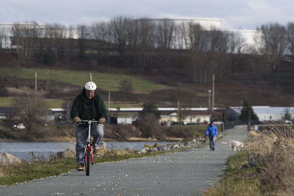 A cyclist makes his way along the Tommy Thompson Trail in Anacortes on Feb. 18. Top left, daffodils just beginning to bloom are seen south of Anacortes in Skagit Valley. Nearby La Conner hosts a Daffodil Festival in March to celebrate the annual blooming of the vibrant flowers. Top right, murals painted by Bill Mitchell adorn the walls of a building in downtown Anacortes, which offers plenty of small shops and restaurants. Go to www.HeraldNet.com for a galleries of photos of the Anacortes area.
