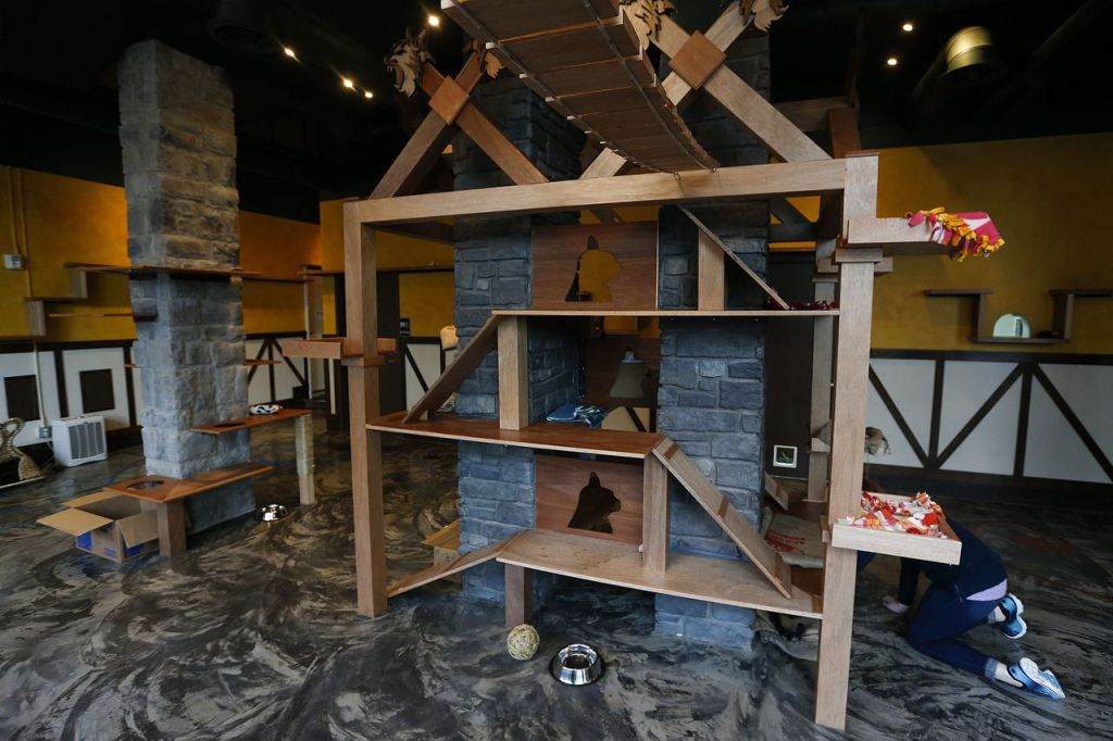 A handcrafted cat play tower offers the cats some entertainment.