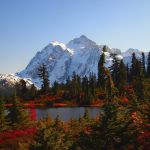 Sandra Peery of Marysville took this photo at Picture Lake near Mount Shuksan in October. &thorn;&Auml;&uacute;There was snow on the ground a week before I took this , when I went back the beautiful fall colors were out,&thorn;&Auml;&ugrave; Peery said.