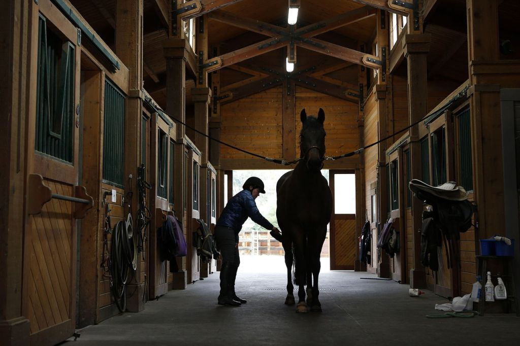 Meika Decher brushes off her horse, Archie, after a practice session Saturday at Polestar Farm in Lochsloy. After acquiring the property in 2000, Decher and her husband, Mark Salser, began making improvements to the land and building their facilities before moving in full time in 2007.