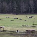 The cross-country course is seen at Polestar Farm in Lochsloy. Decher uses the course to train horses for &ldquo;three-day eventing," which includes jumping, cross-country events and dressage.