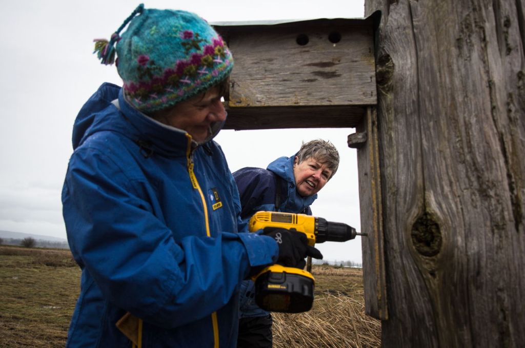 Sue Oliver (right) watches as Marcia Sommer drills in the last bird box at Port Susan Bay on Saturday.