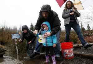 Brandon Clark, of Bothell, helps his kids, Oakley, 2, and Porter (left), 5, look for bugs to examine as his wife, Errin, holds an umbrella at the Brightwater Treatment Plant&rsquo;s Education and Community Center in Woodinville on Jan. 23. Kids were invited to the plant to collect and examine the many water-dwelling insects that can be found on the its public park property.