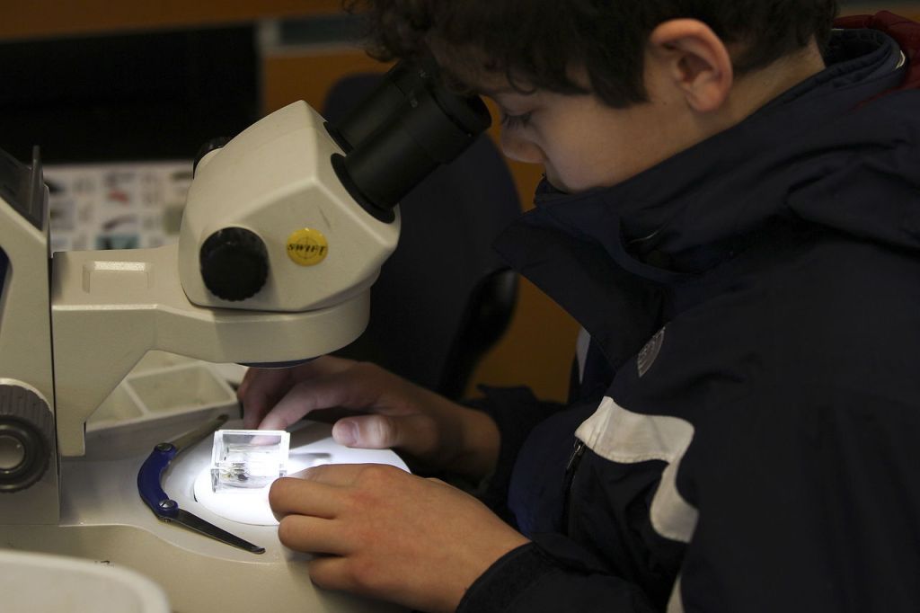 Brandon McQuary, 11, of Monroe, checks out insects he collected through a microscope at an event Saturday for kids to learn about various water-dwelling insects that can be found at the Brightwater Treatment Plant&rsquo;s Education and Community Center in Woodinville.