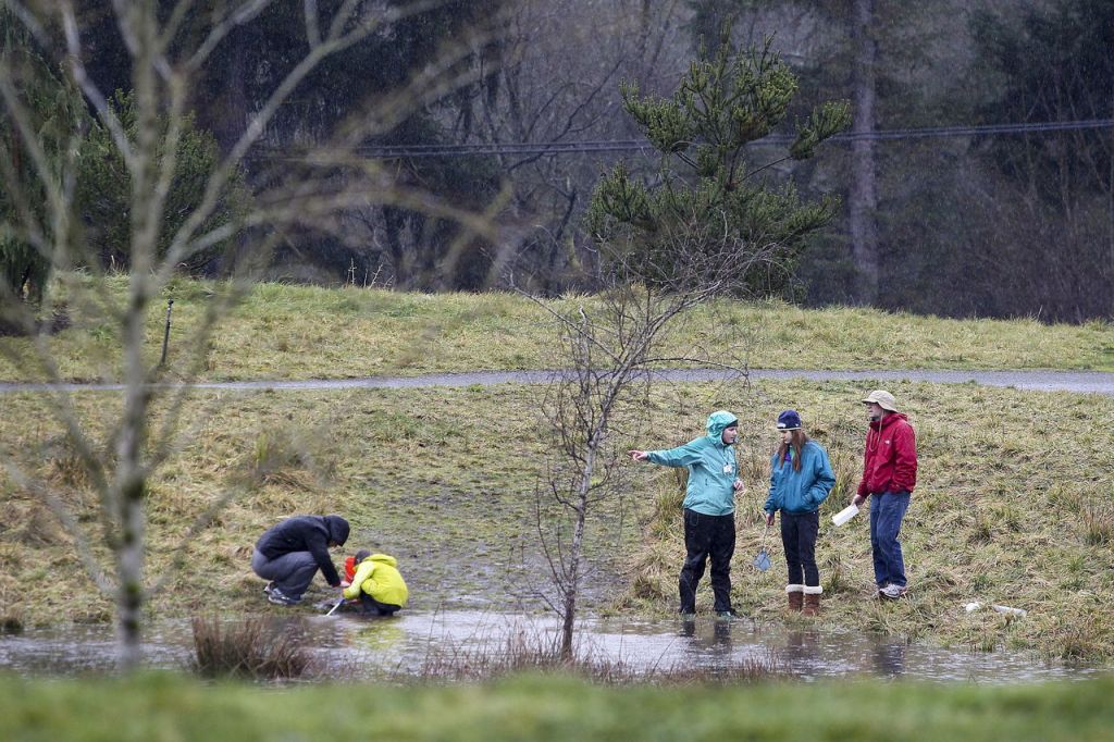 Volunteers guide visitors along trails near the Brightwater Treatment Plant&rsquo;s Education and Community Center in Woodinville on Saturday during an event for kids to see and collect insects.