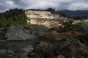 The site of the Oso mudslide, as it appeared in May 2014, two months after the event.