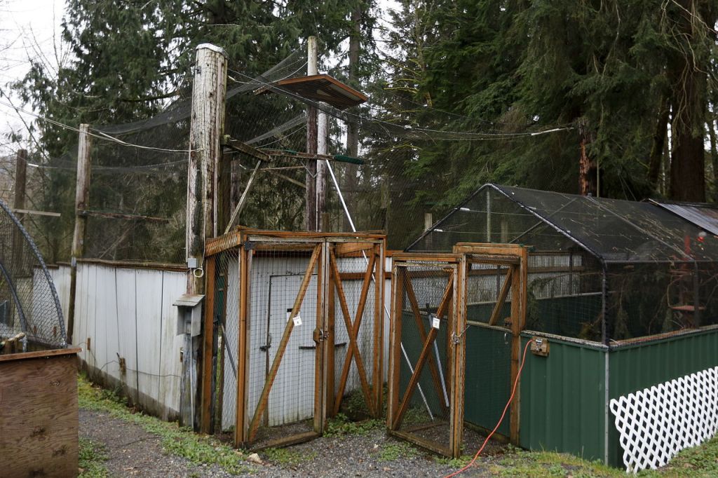An outdoor area for birds is seen at Sarvey Wildlife Care Center in Arlington on Wednesday.