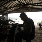 Don Bailey looks over an old tractor that he still uses often on his family&rsquo;s 300-acre farm on Springhetti Road in Snohomish.