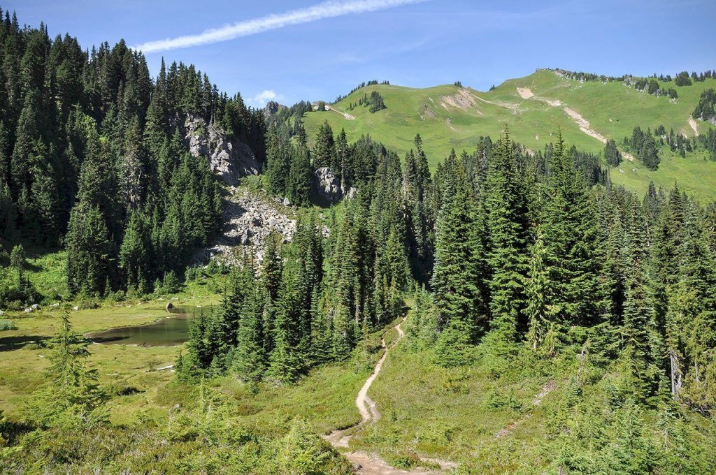 Green Mountain certainly lives up to its name. The hike features many shades of green. (Brandon Fralic / For The Herald)