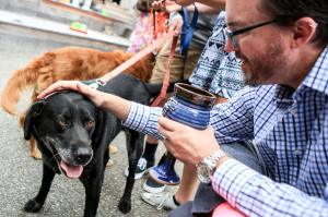 Katie is blessed by the Rev. Alan Dorway during the &ldquo;Blessing of the Animals&rdquo; worship service hosted by First Presbyterian Church of Everett at the Snohomish County Campus Amphitheater in Everett on Aug. 28. (Kevin Clark / The Herald)