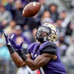 Washington&rsquo;s John Ross makes a touchdown reception in the first quarter against Rutgers on Saturday afternoon Husky Stadium. (Kevin Clark / The Herald)