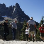 Ian Terry / The Herald                                The Washington Pass overlook is a great place to check out larch trees and get a view of Liberty Bell Mountain.