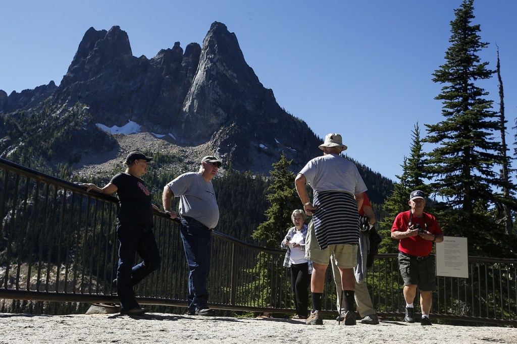 Ian Terry / The Herald                                The Washington Pass overlook is a great place to check out larch trees and get a view of Liberty Bell Mountain.