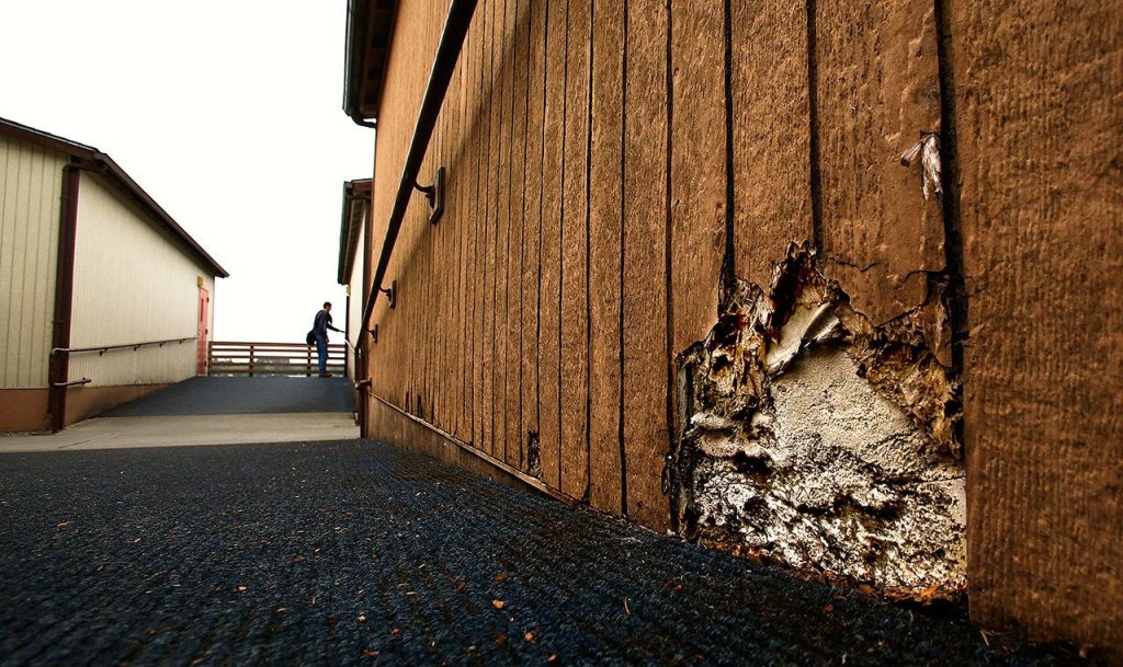 Exterior siding appears to be failing on some portable classrooms at the Stanwood High School campus. (Dan Bates / The Herald)