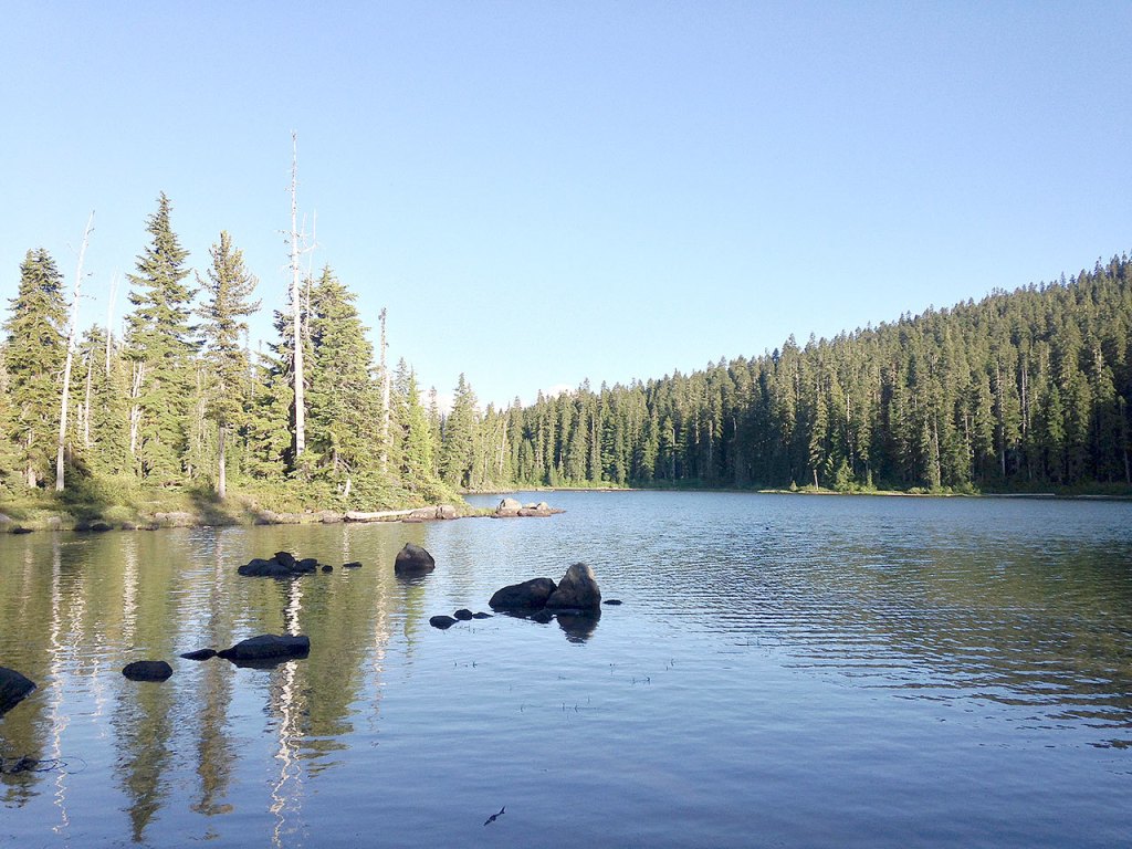 Dumbbell Lake, a small lake just off of the Pacific Crest Trail, is a perfect swimming spot. (Jessi Loerch/The Herald)