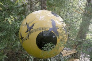 In Vancouver Island’s rain forest, a treehouse hotel fit for a hobbit