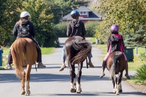 Photo: Along for the celebration