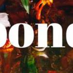 Book review: Dazzled by Claire-Louise Bennett’s debut, ‘Pond’