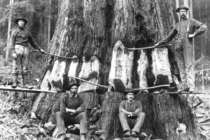 Uncover the stars and skeletons of your past at Ancestry Day