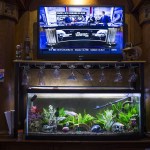 A fish tank and TV screen sit behind the bar at Ynot Sports Pub & Grub in Everett. (Ian Terry / The Herald)