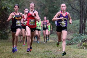 Lake Stevens’ Roe takes second at Hole in the Wall Invitational
