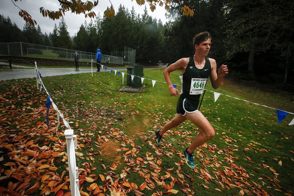 Jackson&rsquo;s Matthew Watkins runs through autumn leaves on his way to winning the boys 4A District 1 cross country meet at South Whidbey High School on Saturday. (Ian Terry / The Herald)