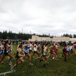 The girls 3A District 1 cross country meet gets underway at South Whidbey High School on Saturday. (Ian Terry / The Herald)