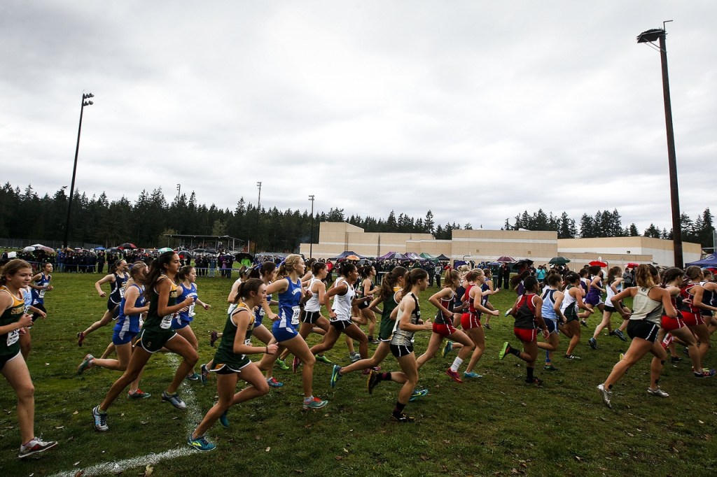 The girls 3A District 1 cross country meet gets underway at South Whidbey High School on Saturday. (Ian Terry / The Herald)