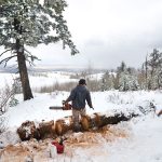 Nat Sandner inspects his work on a fallen tree in the snow on Shadow Mountain near Kelly, Wyoming. With measureable snowfall already in parts of the Rockies and Northwest, the 2016 wildfire season is pretty much over in much of the West. (Rugile Kaladyte /Jackson Hole News & Guide via AP)