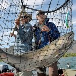 In this Sept. 8, 2014, photo, salmon fishing guide Dave Grove, left, nets a fall Chinook for David Moershel while fishing on the Columbia River near Desert Aire, Washington. (Rich Landers /The Spokesman-Review via AP, File)