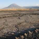 The Engare Sero footprints were preserved for as many as 19,000 years. (Cynthia Liutkus-Pierce)