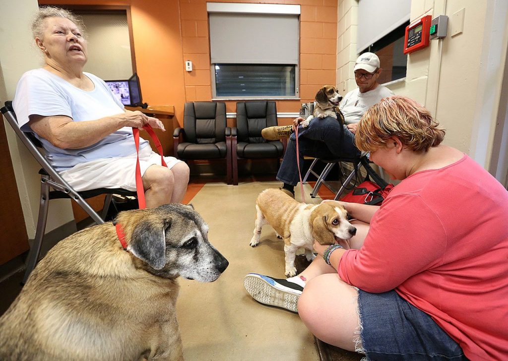 Pet owners sit in the lobby of a storm shelter set up at the Barnett Park community center to accommodate evacuees during Hurricane Matthew on Thursday in Orlando, Florida. (Joe Burbank/Orlando Sentinel)