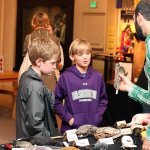 Visitors can examine bird specimens at the Burke Museum&rsquo;s annual &ldquo;Birds at the Burke&rdquo; family event. (Photo by Rachel Crick Photography)