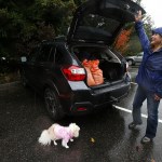 Tami Colyn, of Lynnwood, finishes loading the back of her car with sandbags prepared at a station setup by the City of Edmonds Public Works at their facility at 7110 210th Street Southwest in Edmonds. The free self-serve station provides everything needed to make sandbags and will remain open through Sunday. (Ian Terry / The Herald)