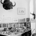 This May 18, 1965, photo shows the desk of U.S. novelist Ernest Hemingway, in San Francisco de Paula, Cuba. (AP Photo/File)