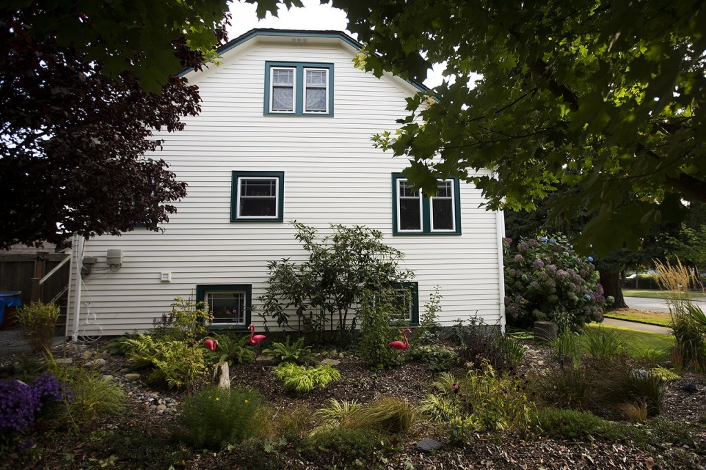 Located at Rainier Street and 26th Street in Everett, Roxanne and Paul Wright&rsquo;s rain garden runs alongside the sidewalk. (Ian Terry / The Herald)