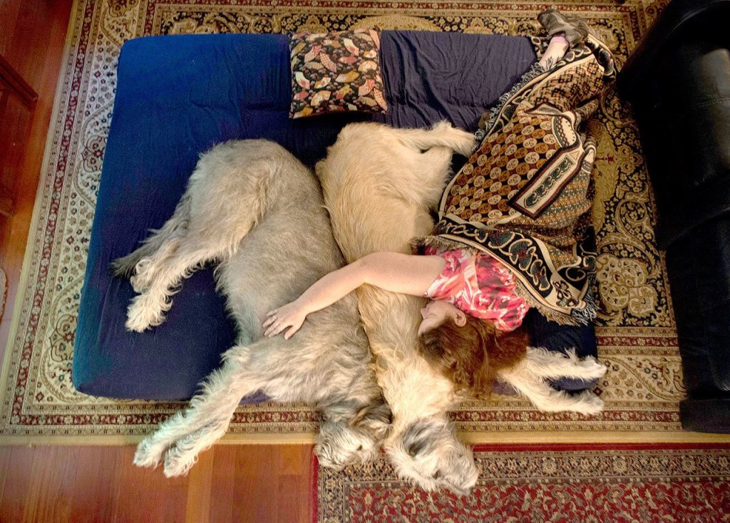 When Denise Harris of Columbia, Maryland, feels ill, she likes to nap with her Irish Wolfhounds, Farrhear (left) and Carrik (right) on the family room floor. (Linda Davidson/Washington Post)