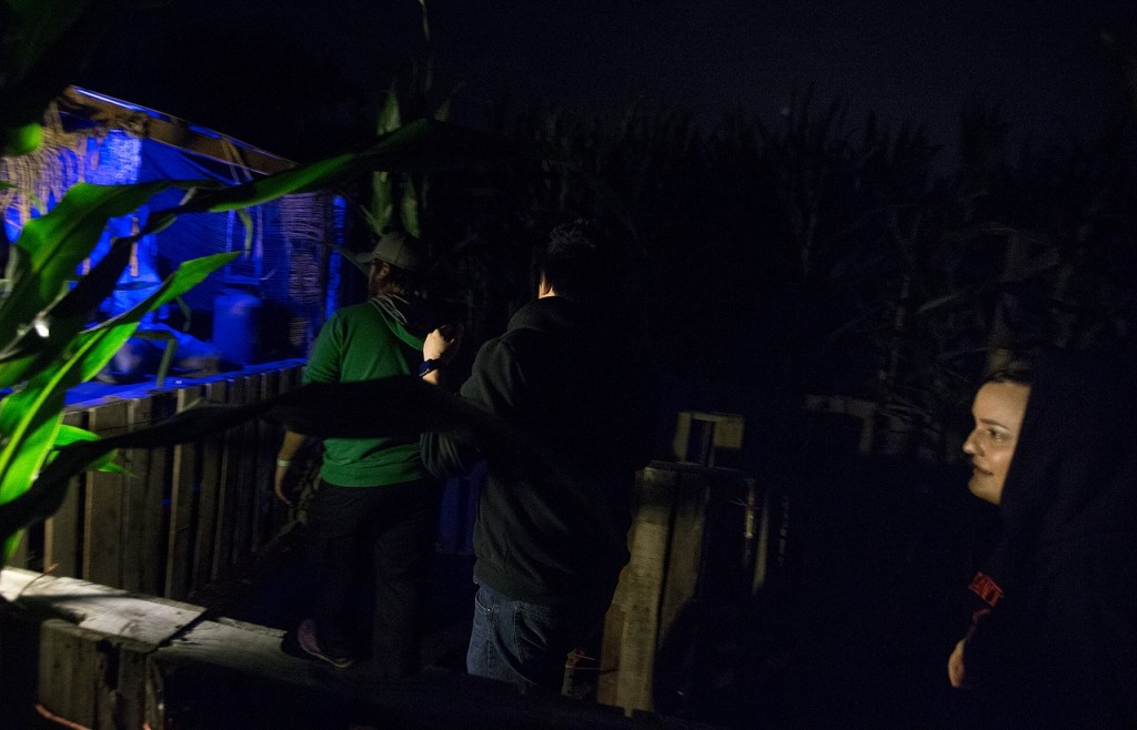 Michelle Ferri (right), of Mukilteo, makes her way through Carleton Farm&rsquo;s &ldquo;Haunted Swamp&rdquo; area on Friday evening. It was Ferri&rsquo;s first time going through a corn maze, let alone a haunted one. (Ian Terry / The Herald)