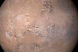 Web Monkey: Musk isn’t the only one who wants to go to Mars