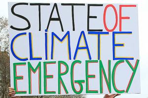 Powerful greenhouse gases in focus at global climate meeting